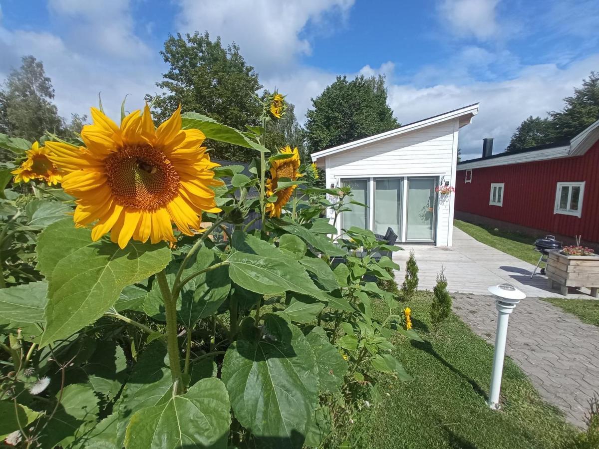 Attefallshus Saeng 160 Baeddsoffa 160 Växjö Exterior foto